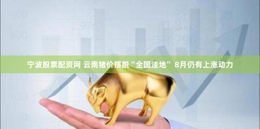 宁波股票配资网 云南猪价摆脱“全国洼地” 8月仍有上涨动力