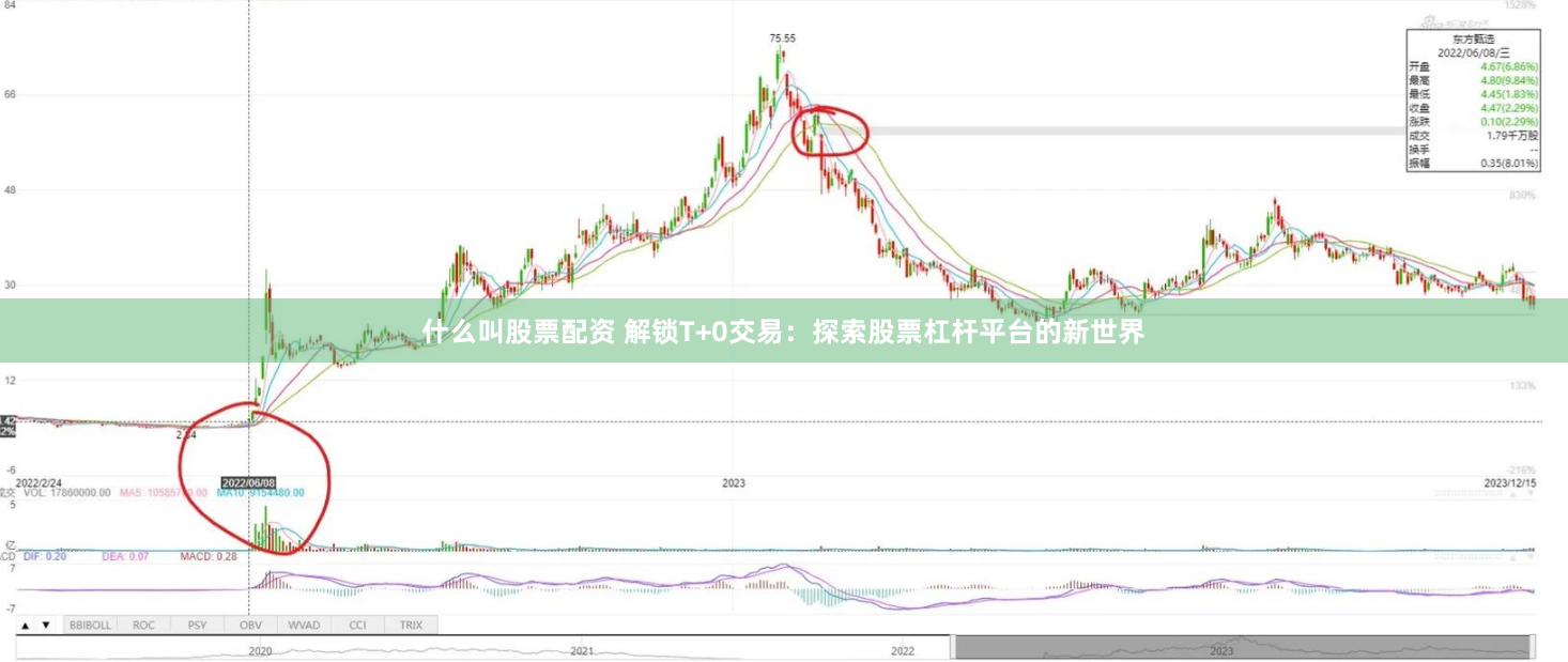 什么叫股票配资 解锁T+0交易：探索股票杠杆平台的新世界