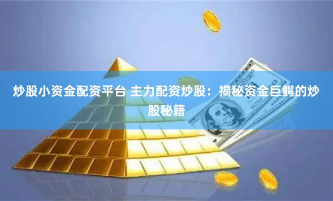 炒股小资金配资平台 主力配资炒股：揭秘资金巨鳄的炒股秘籍