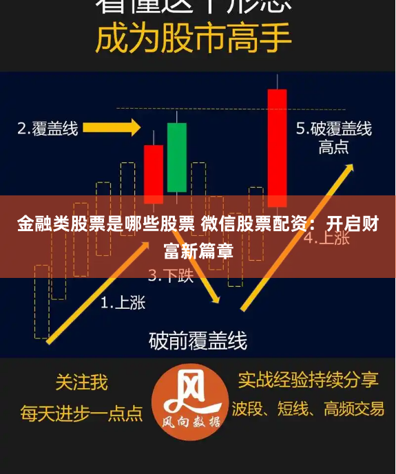金融类股票是哪些股票 微信股票配资：开启财富新篇章