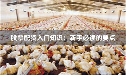 股票配资入门知识：新手必读的要点